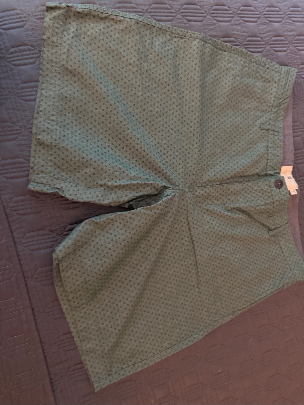 Men's Olive Green Micro-Print Flat Front Shorts